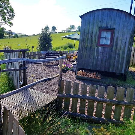 Eco Accommodation Cornflower Holiday Крейвен-Армс Екстер'єр фото