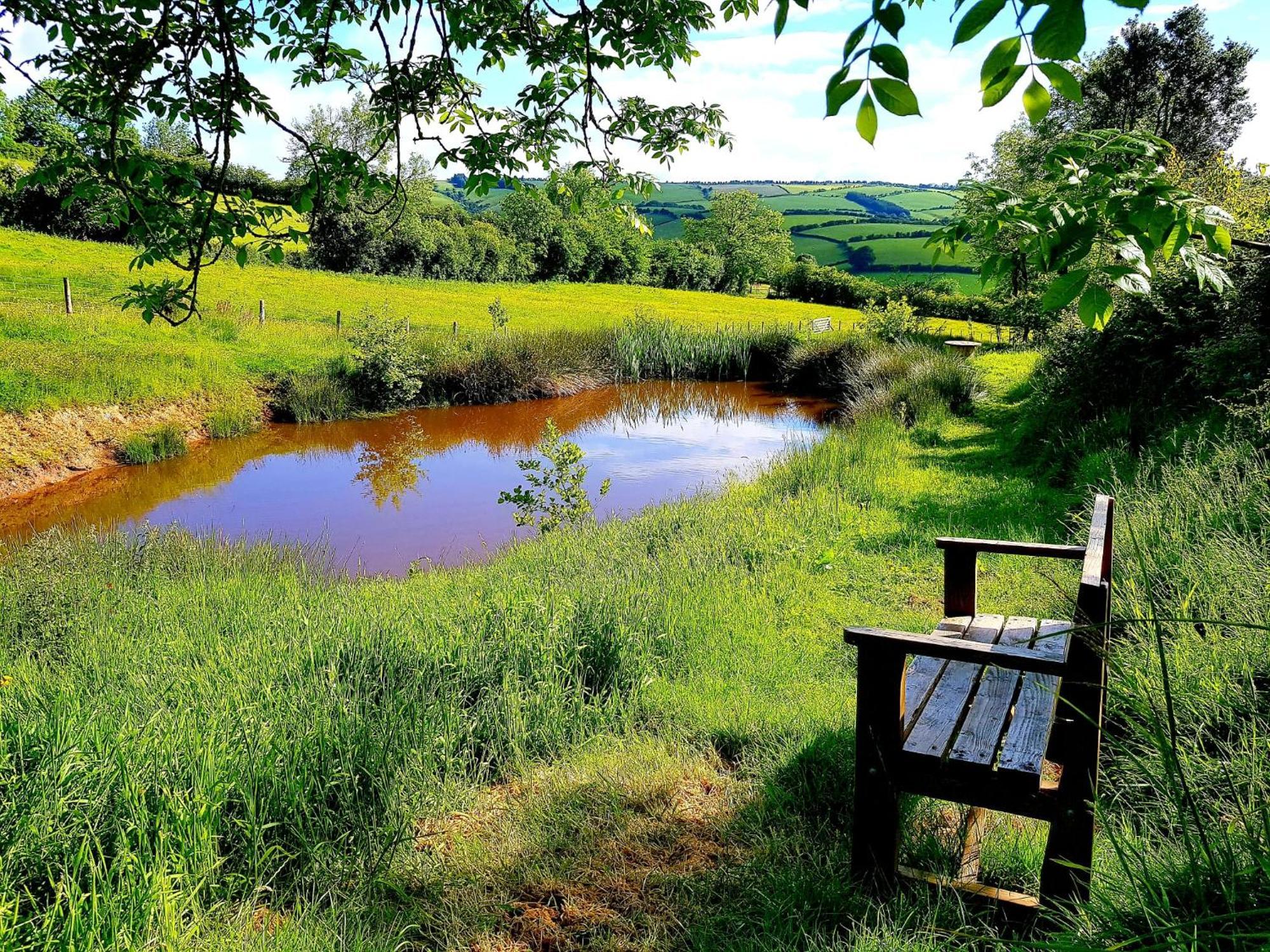 Eco Accommodation Cornflower Holiday Крейвен-Армс Екстер'єр фото